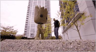 鸽子为什么这么大？懂数学的给出了答案