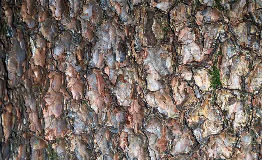 皮肤瘙痒影响夫妻感情？来呀，互相挠背呀