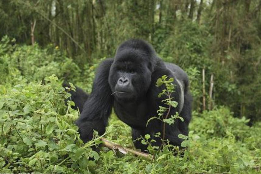 世界上最便宜的公园门票,全球最贵的公园门票10000元