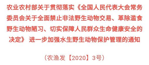 甲鱼是否列入禁食名单,牛蛙甲鱼被列入禁食名单了吗