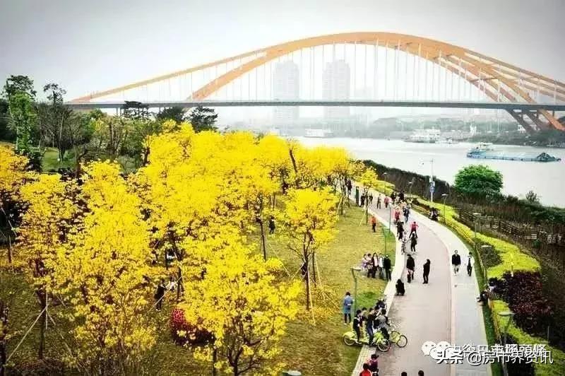 佛山禅城德国港,佛山13亿打造的珠江新城