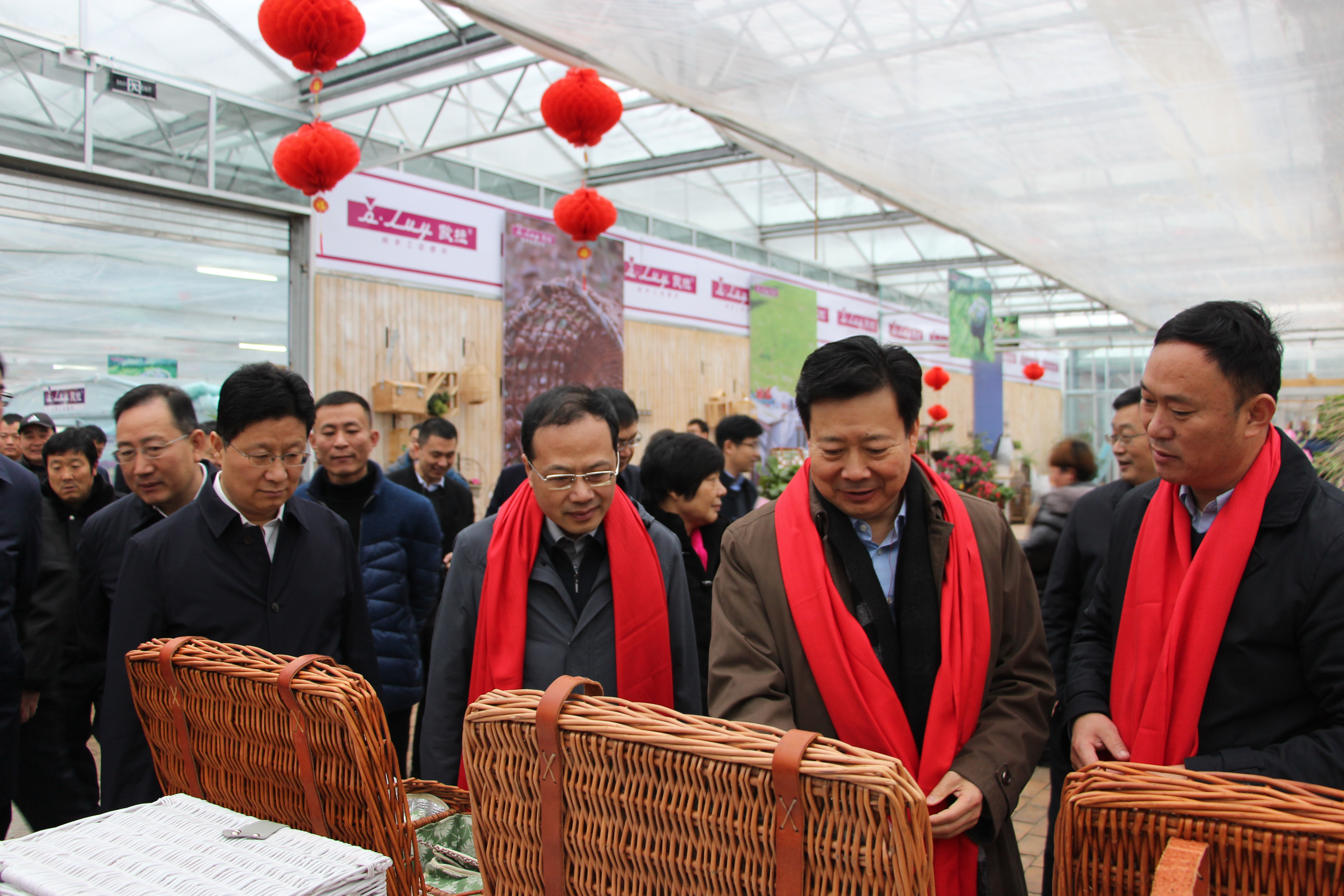 送科技下乡助力乡村振兴活动方案,农业科技扶贫助农