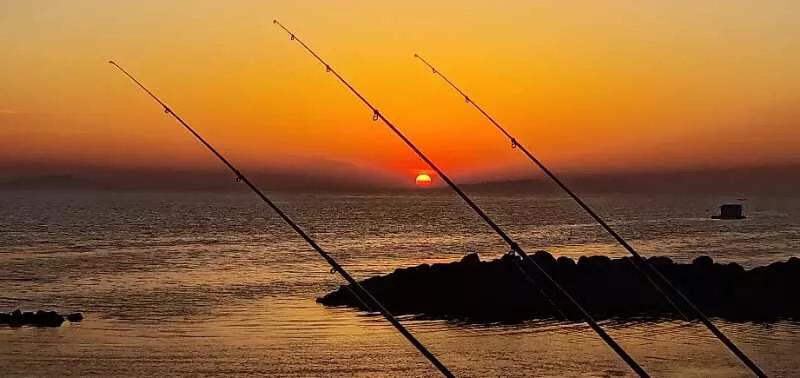 手拍世界,手拍世界作品专集