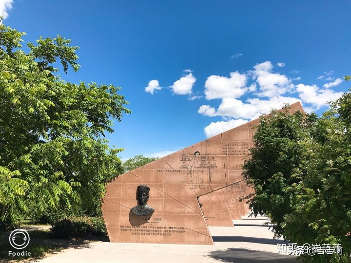 在东北吃饭是一种什么体验,跟东北人吃饭是什么体验