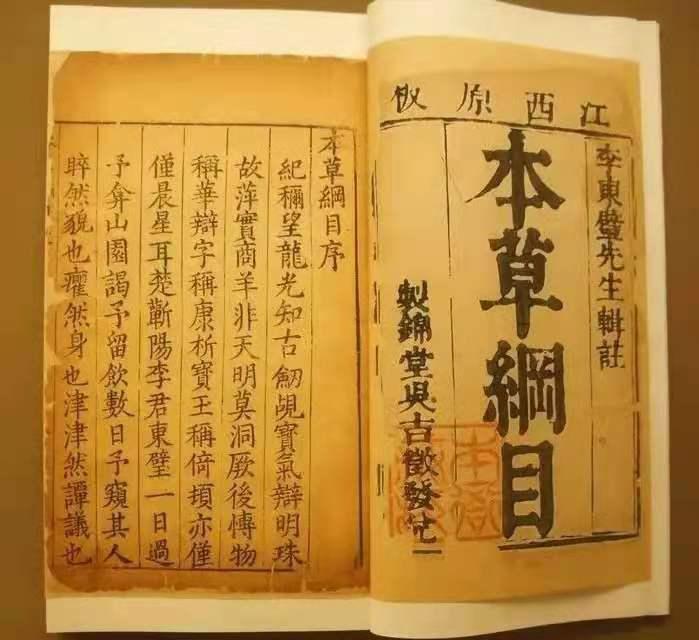 李时珍不吃猫的原因,李时珍为什么说猫不能吃鲜鱼