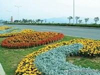 一篇文章读懂拓扑排序,一篇文章读懂摄影