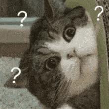 千万别信!关于血液的这些说法太害人!第一个就信了几十年…