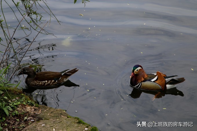 周末微旅行第一季,周末微旅行石湖