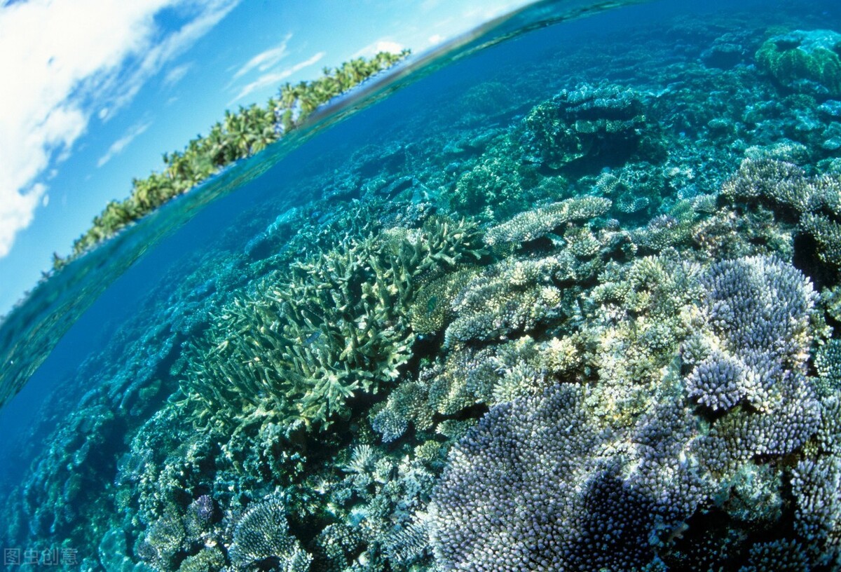 世界最新十大经济体排名,全世界前十大经济体排名