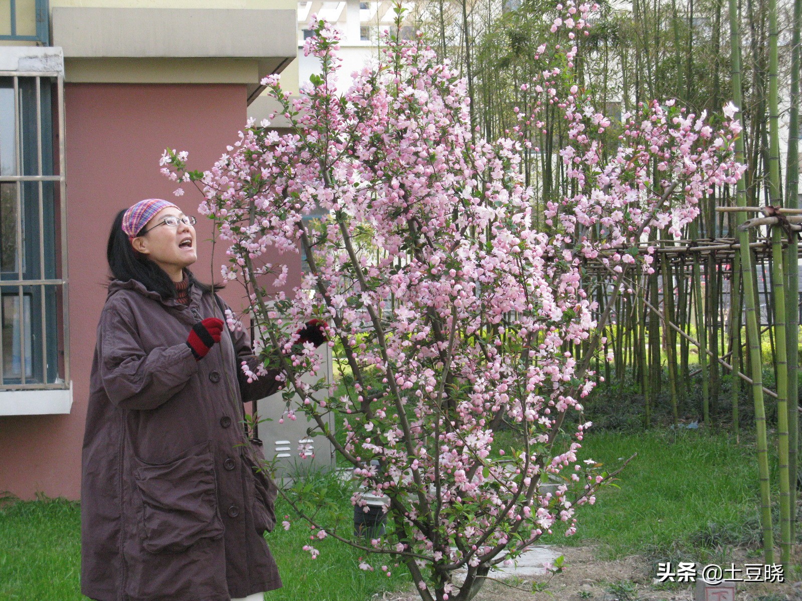 孕妇分享孕期生活,孕期和老公分享日常