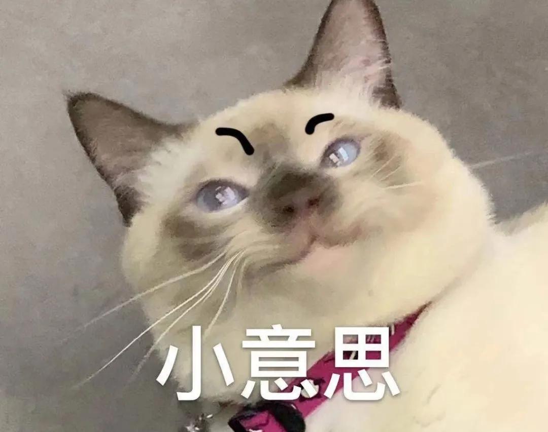 解答宠物问题,关于宠物的问题和答案大全