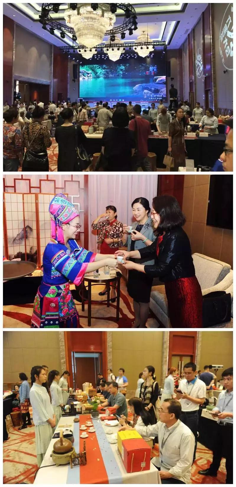 三鹤杯2024年梧州六堡茶斗茶大赛,2022年梧州六堡茶民间斗茶大赛