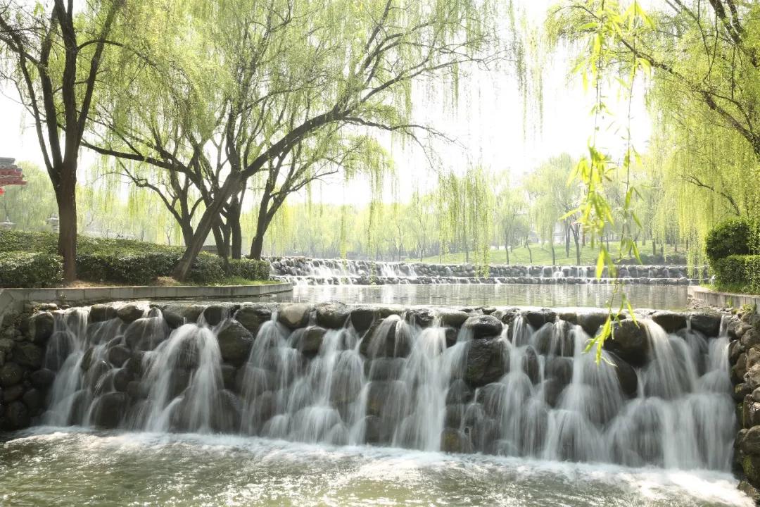 西安的春天到底有多美？我要打包送给你