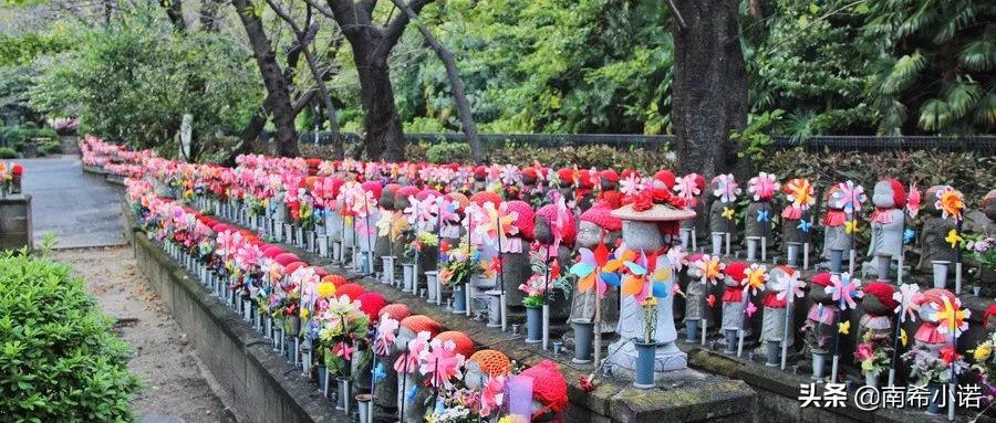 日语动漫学习网站,日语零基础免费学习网站