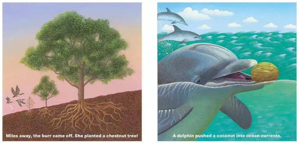 给孩子的自然故事绘本,讲给孩子的自然科普绘本