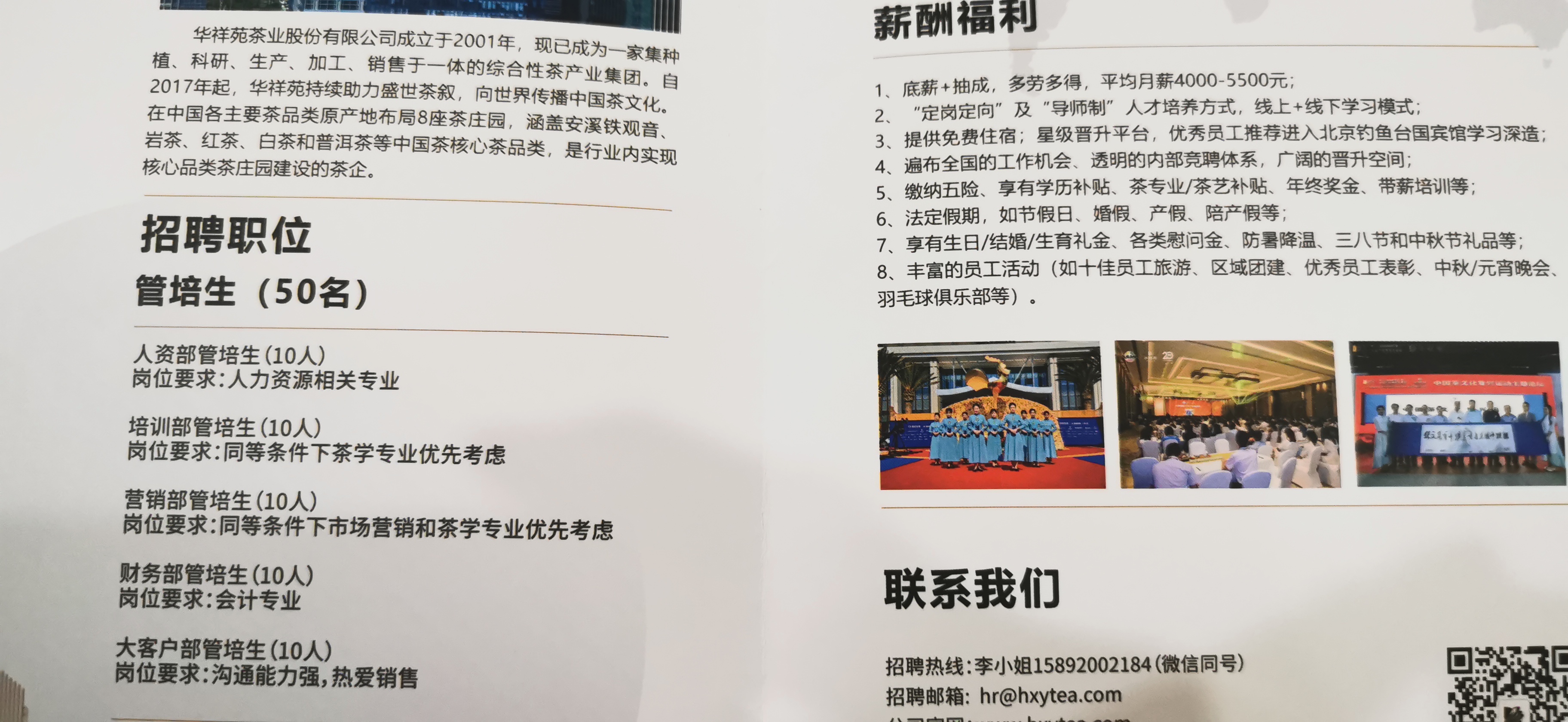 我眼中的茶,茶学专业出来都干嘛了