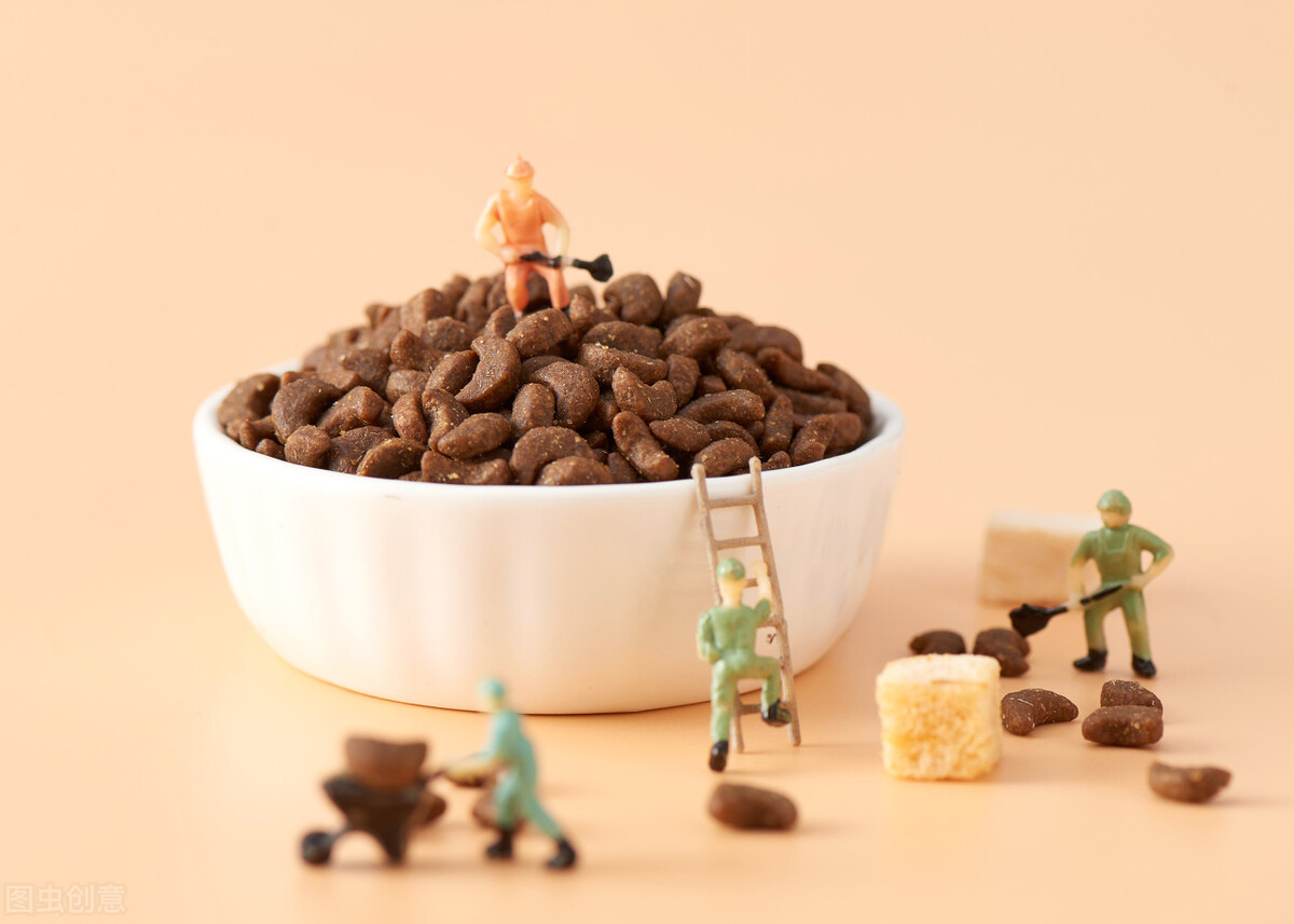 猫咪黑下巴怎么才能去除干净,猫咪小知识猫咪黑下巴了怎么办