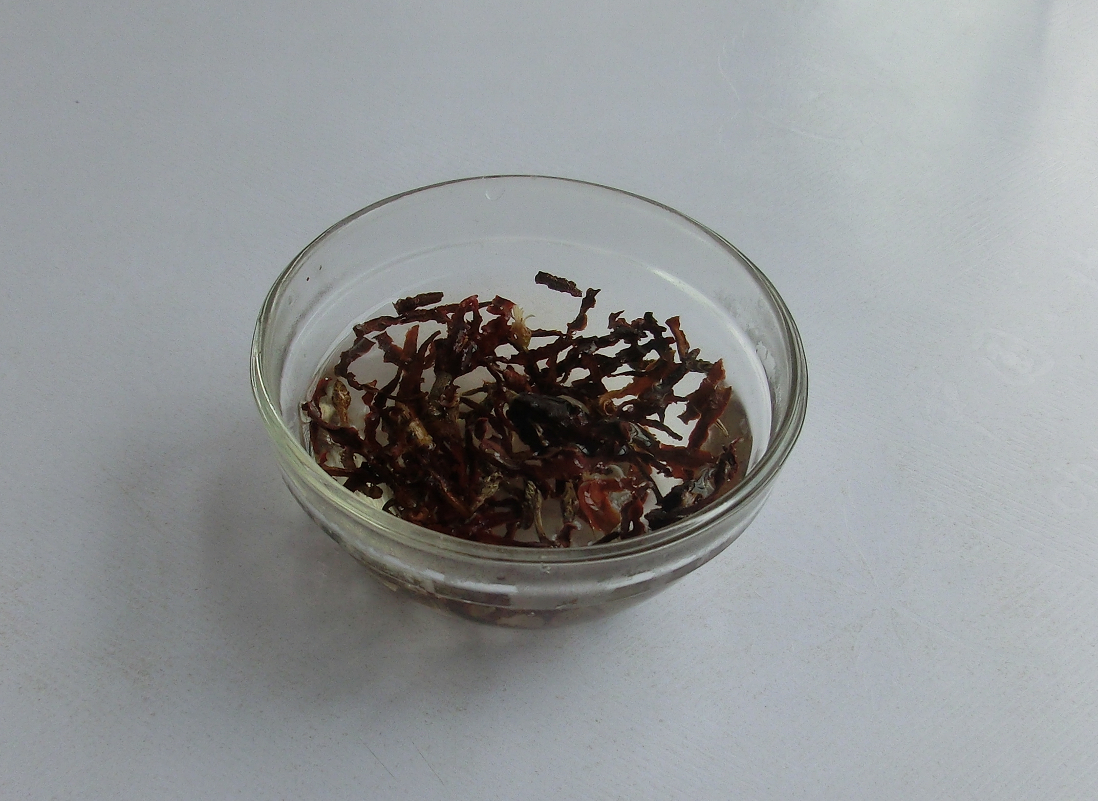 嗓子干痒止咳最快的小妙招,嗓子干痒如何止咳