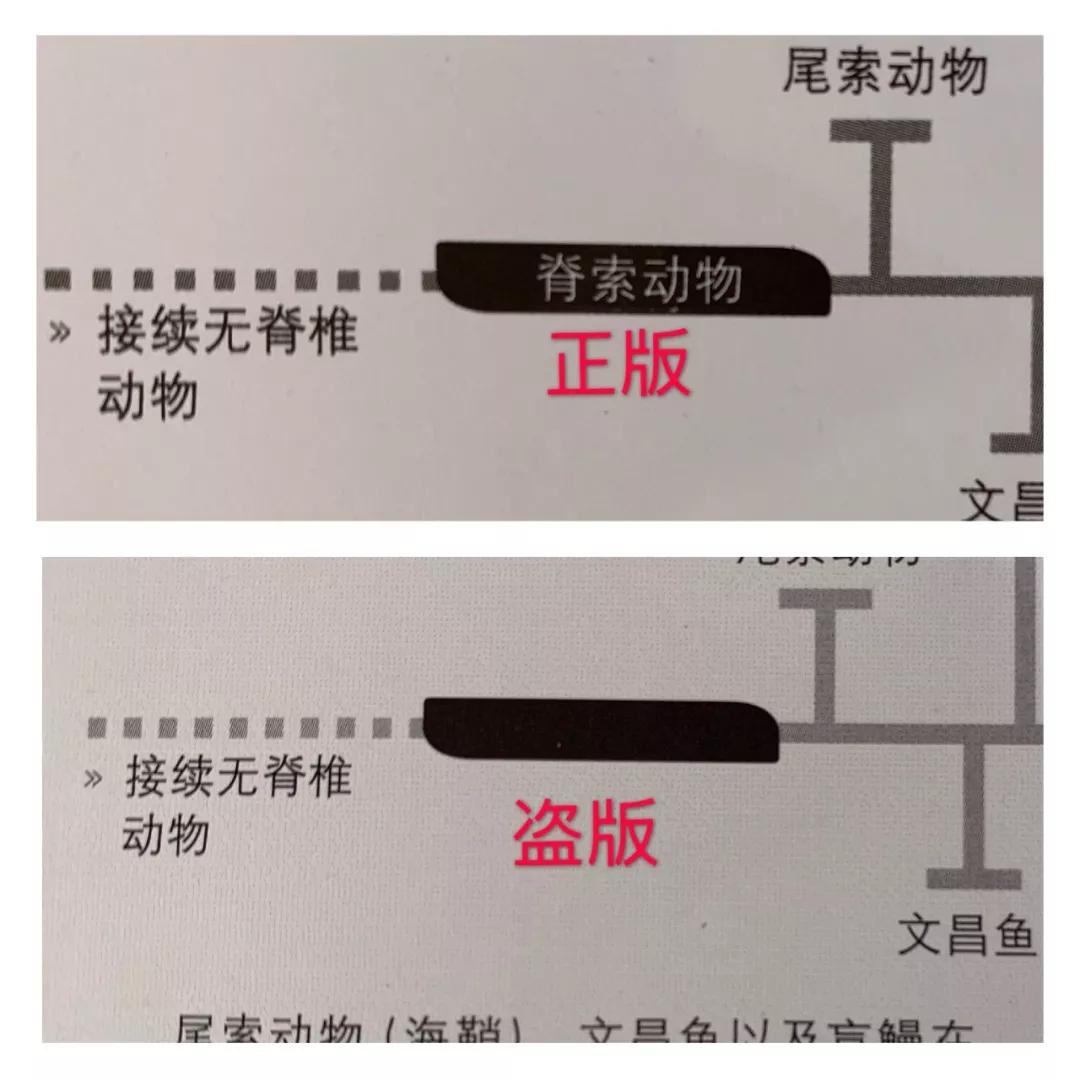 买到盗版书已经写东西了怎么办,买到盗版书了该怎么办