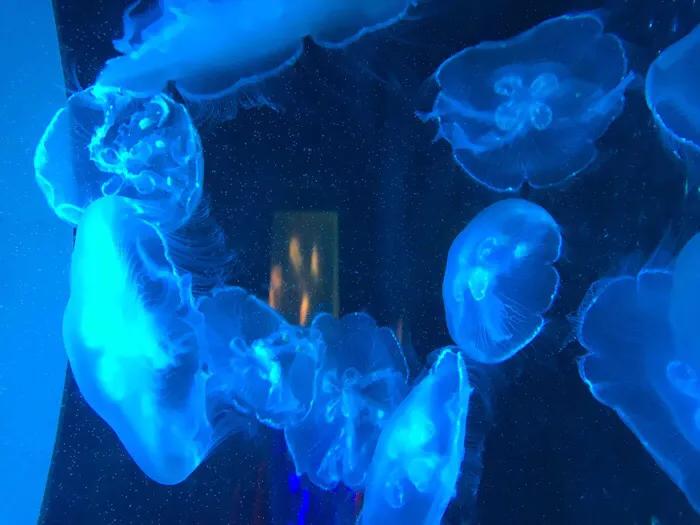 深圳十大暑假室内必去景点,深圳暑假值得带孩子旅游的地方