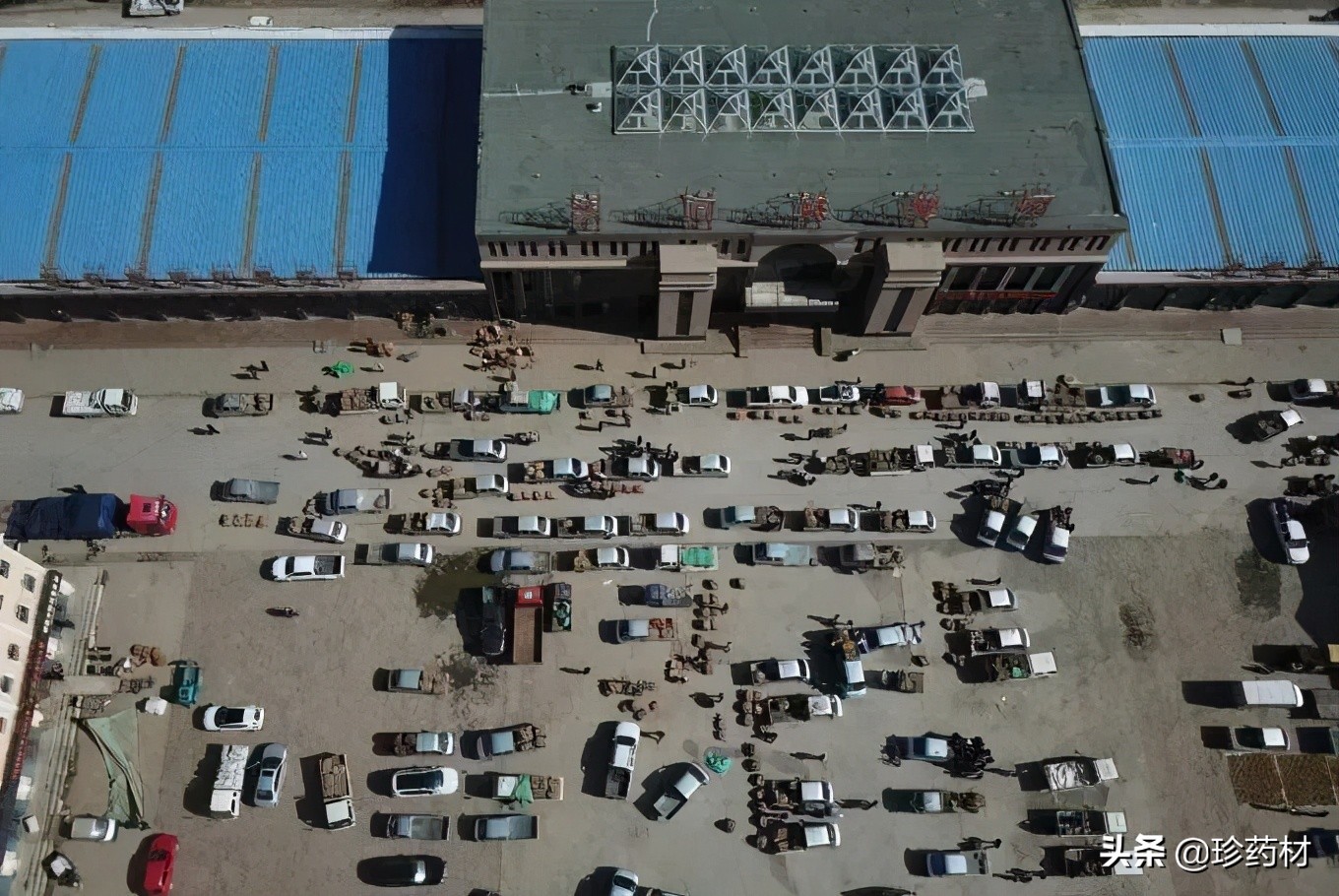 12月份中药材信息网药材价格行情,药材市场现状药材单价