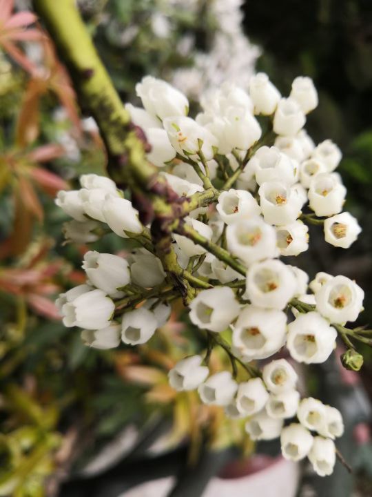 怎么判断文言文偏义复词偏在哪里,高考文言文实词趣味讲解