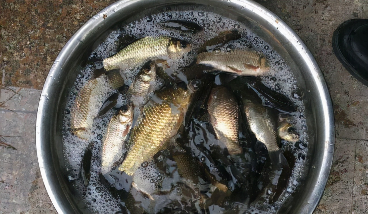 鱼口轻怎么抓漂,冬季钓鲫鱼鱼口轻怎么办