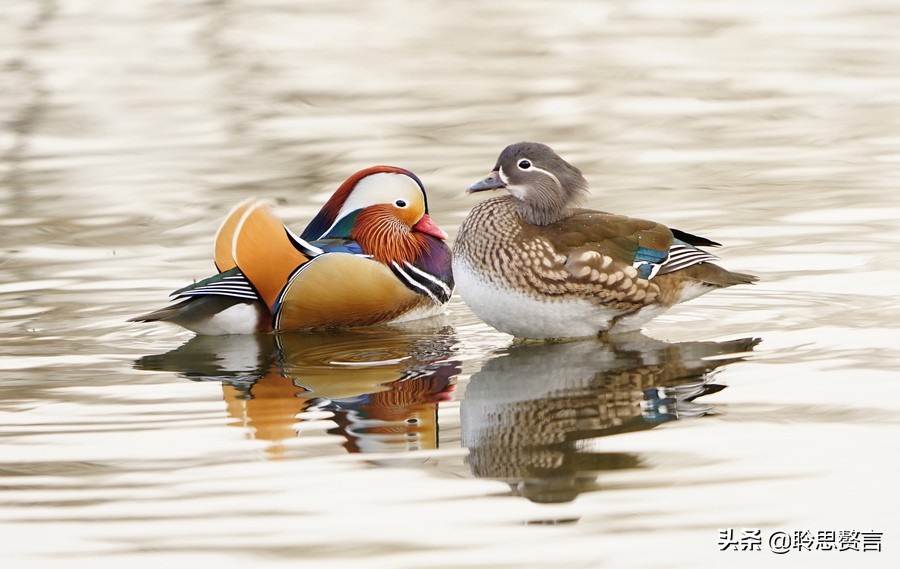 夏日诗句精选,30首夏日诗词人间最美是初夏