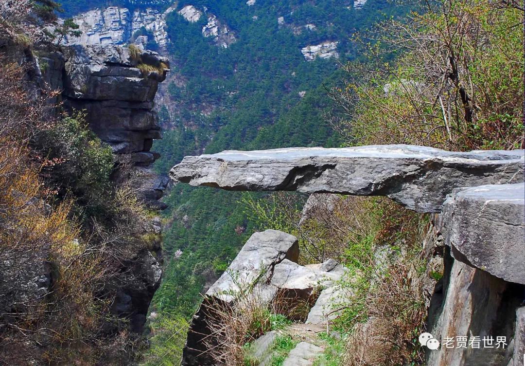 中国003号文物,中国33处世界文化遗产