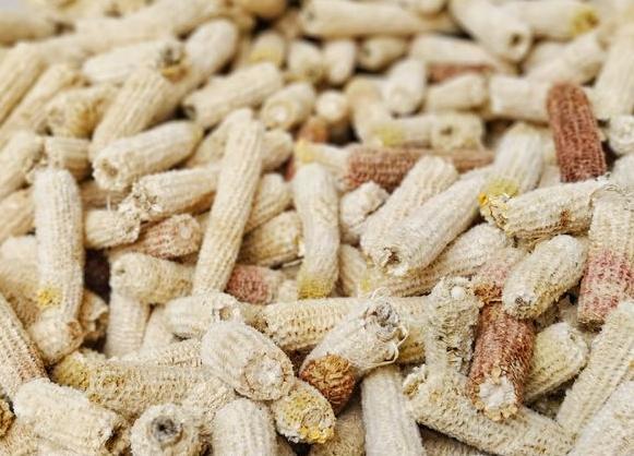 一进口植物人称“黄金米”,是全世界的重要粮食,韩国连芯棒都卖