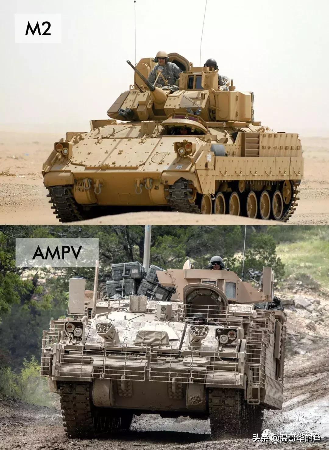 各种装甲运输车图片欣赏,各种各样装甲运兵车