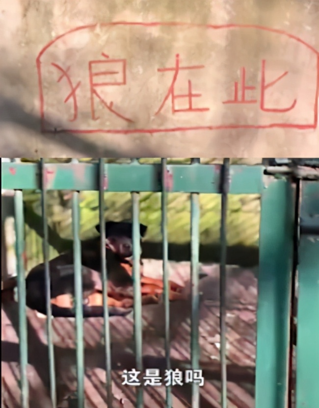 拐卖儿童犯罪建议十年起判,人大会议代表建议拐卖儿童重罚