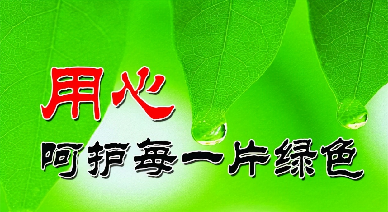 怎样保护环境有哪些方法,怎样保护环境作文