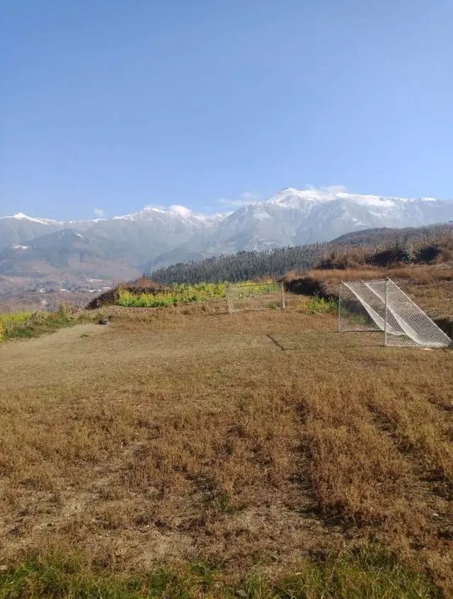 自制室内球场,自制球场定制