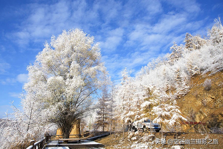 在莫尔道嘎，我遇见了最美的秋雪
