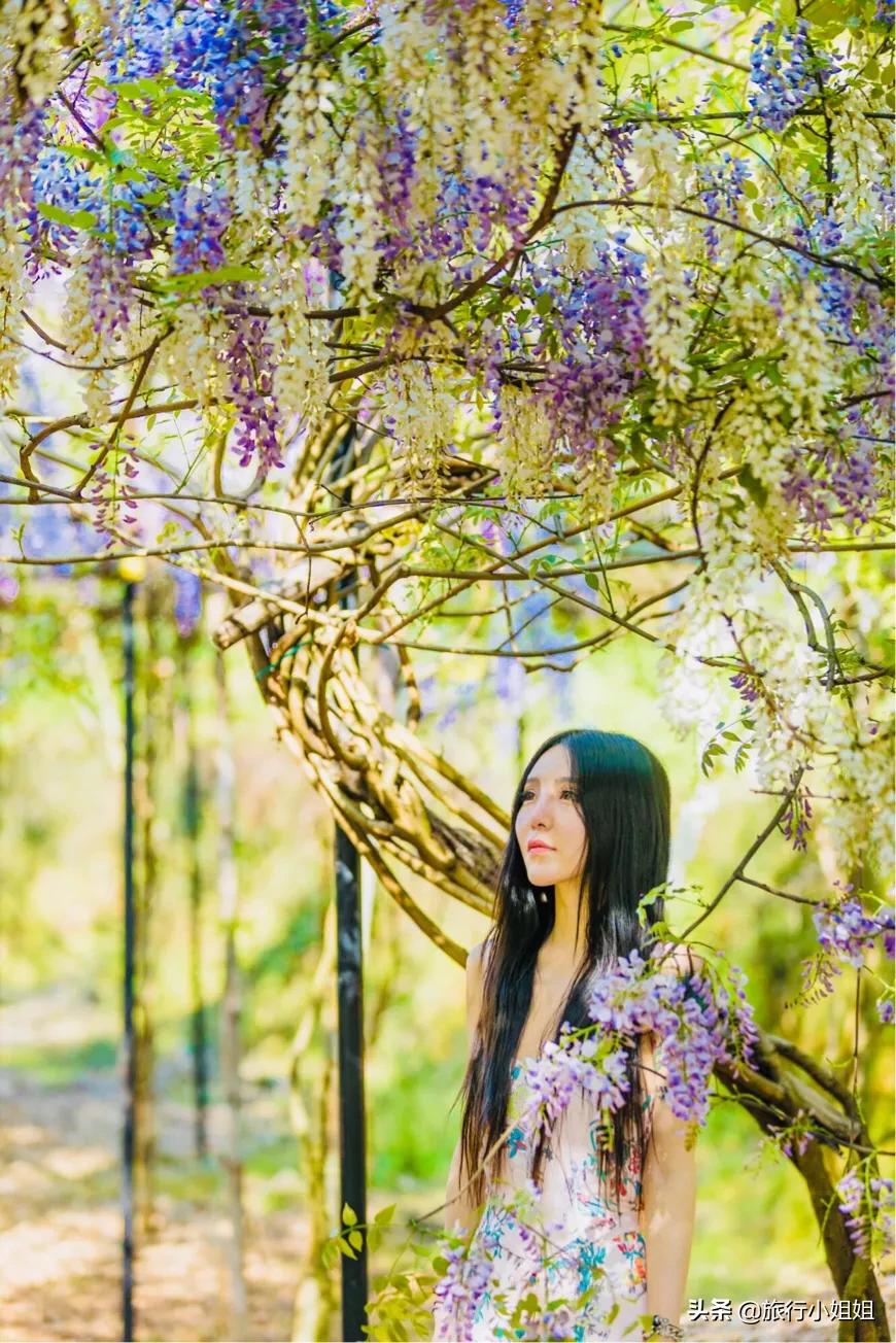 宜都大溪网红打卡点,宜都市网红打卡