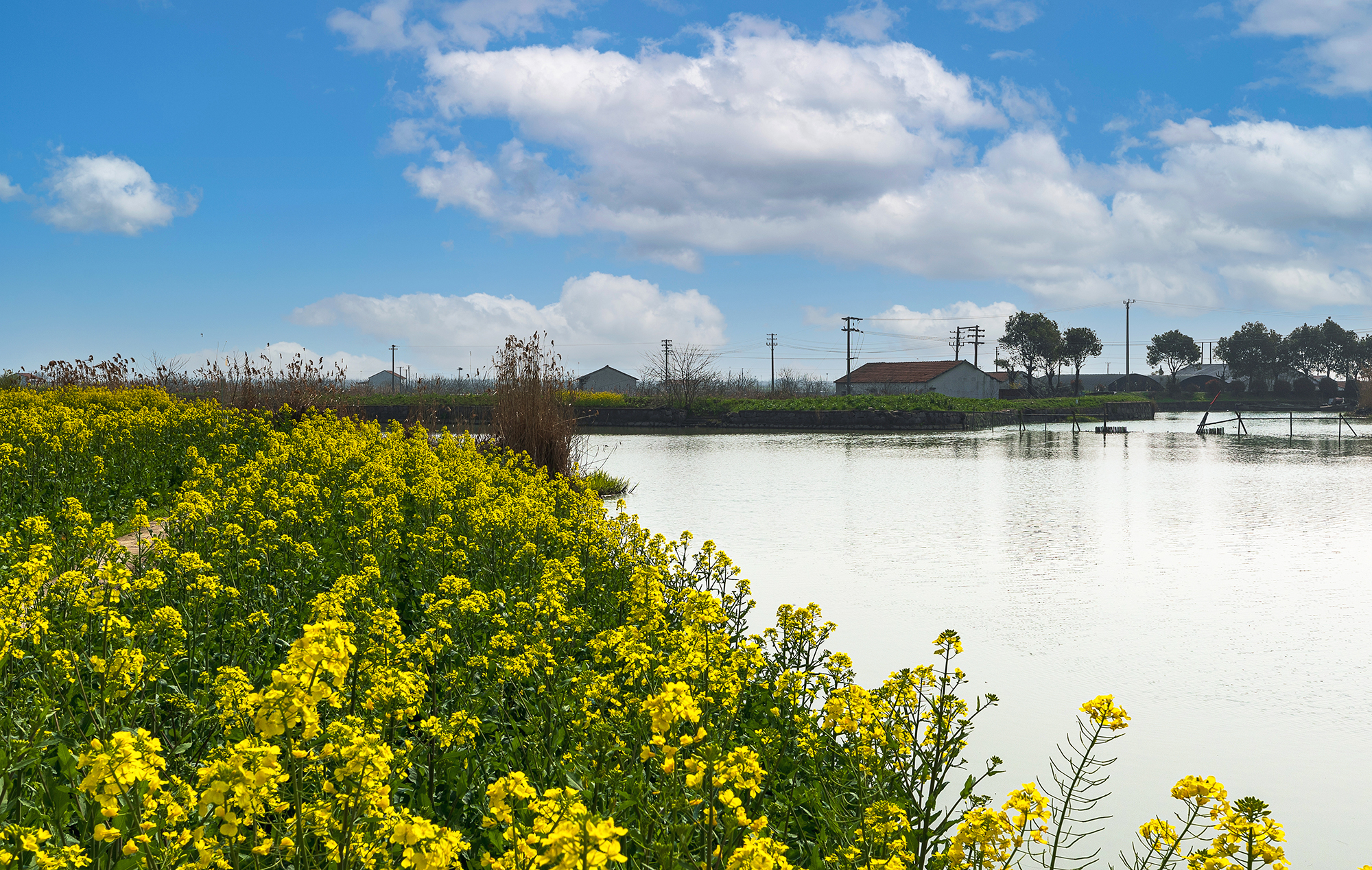 刚好我也喜欢你暮回全文阅读,刚好我也喜欢你小说完整版