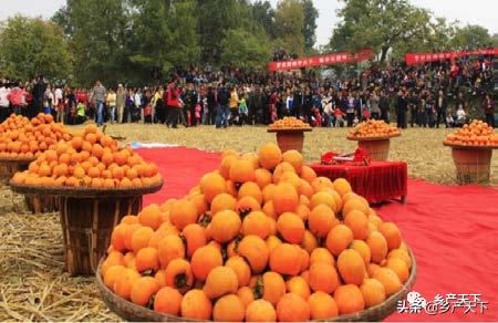 产业强镇|有吃、有玩、有休闲,罗田县三里畈镇乡村发展的N种可能性