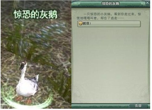 剑网三五大事件：蝶恋花大战五天五夜团长睡觉打呼万人围观！