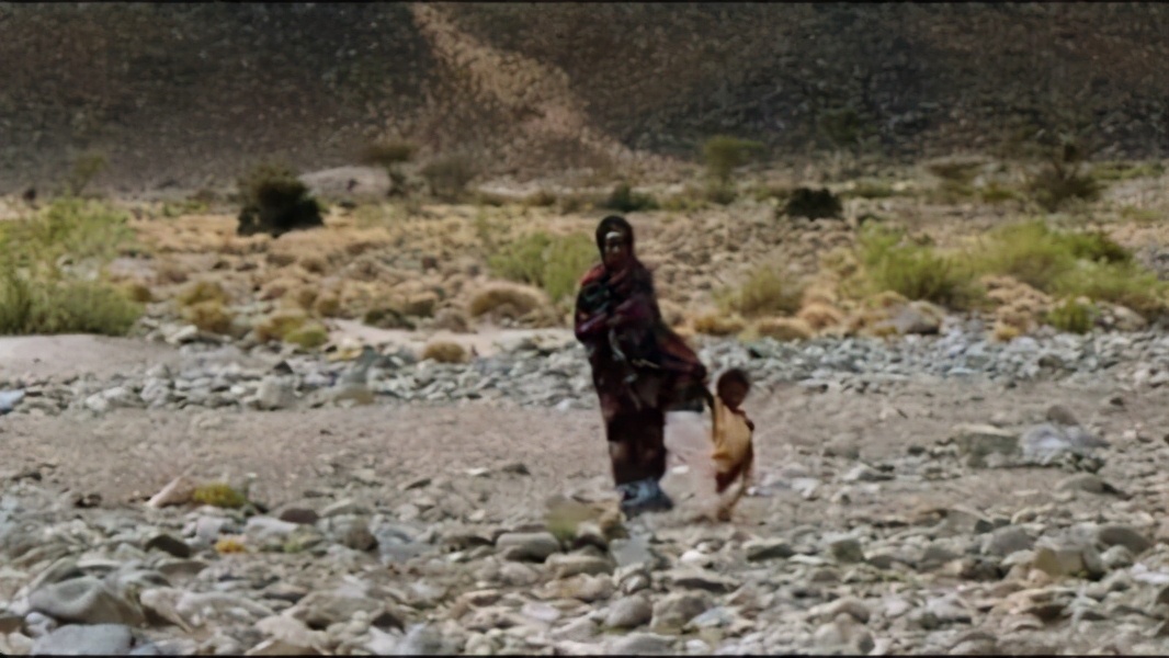 “割礼”惨无人寰的陋习,*害迫**着女性身体,震撼人心《沙漠之花》