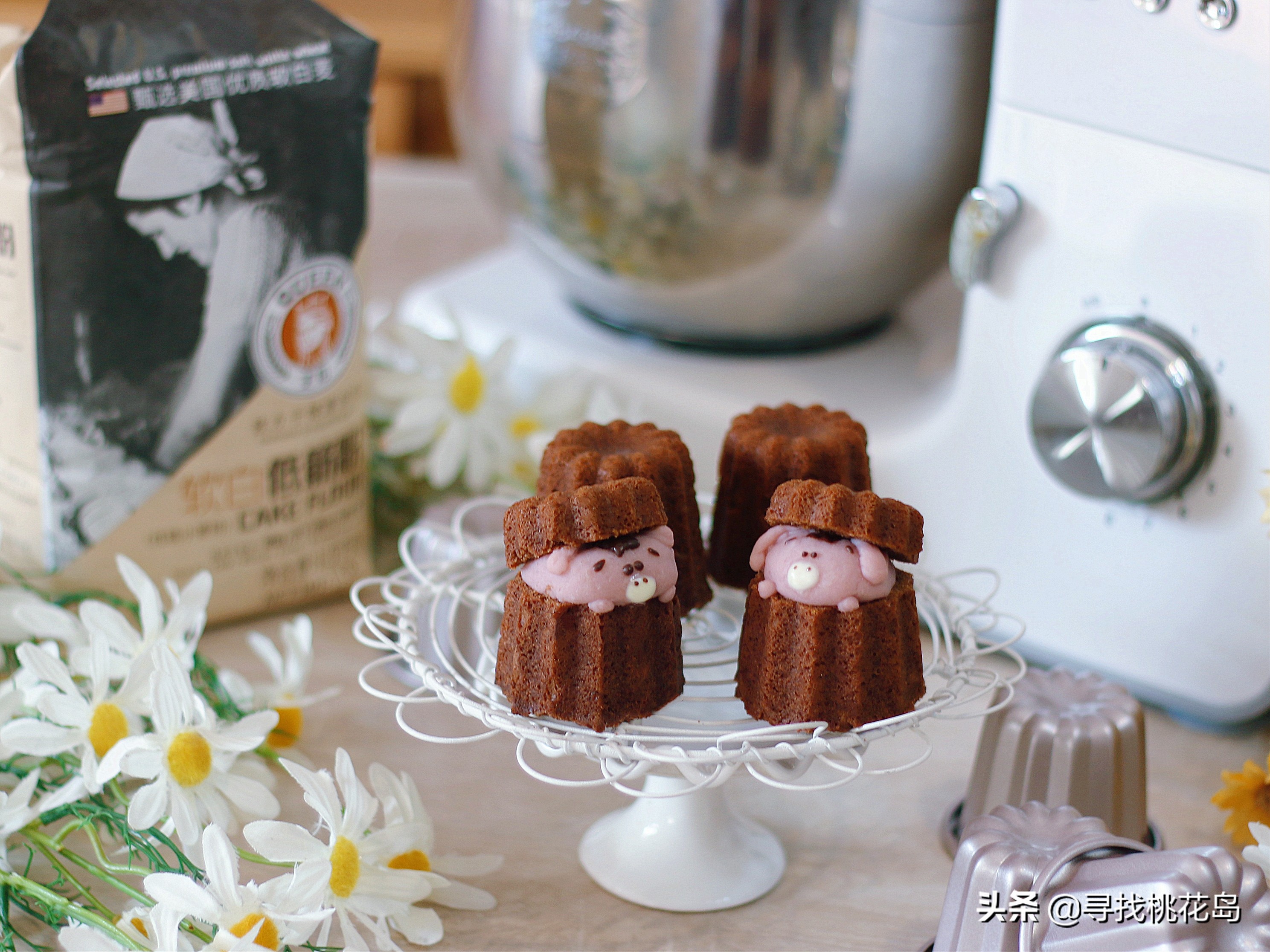 小熊巧克力蛋糕教程,小猪做巧克力蛋糕