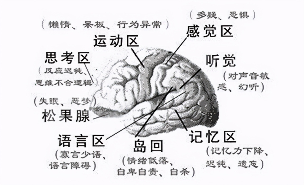 高血压怎么引发的脑梗,高血压引起的脑梗塞有治愈的吗