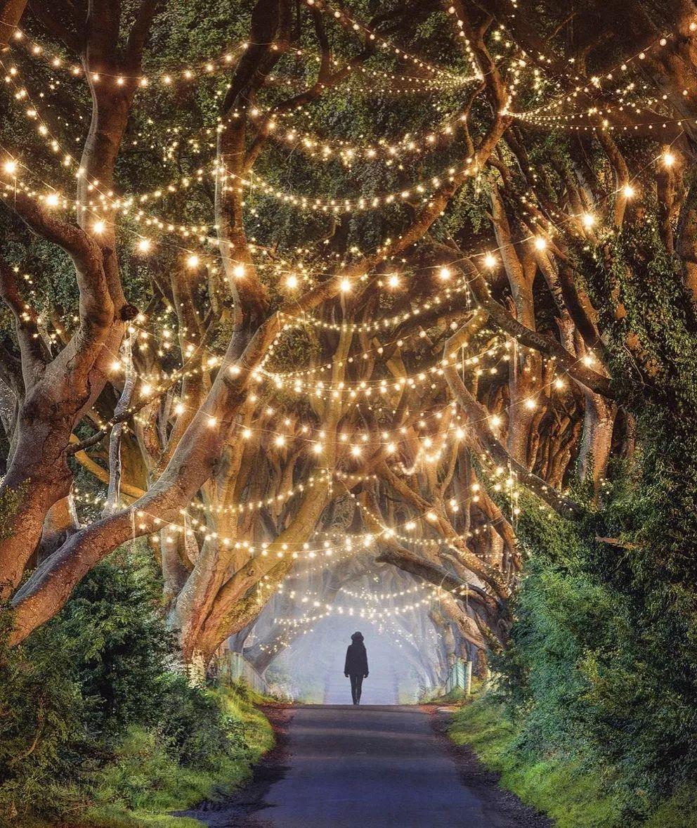 艺术摄影修图,艺术拍照修图