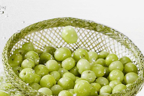 最近火爆的油柑,浓缩的油柑汁做饮品配方