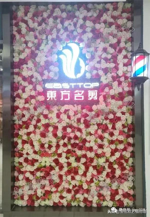 沈阳市仿真植物墙,仿真植物墙制作视频教程