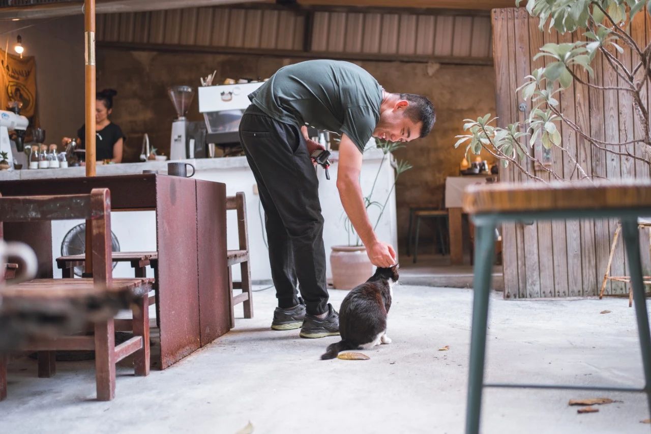 最后的单车台湾环岛游（下），圆梦武岭