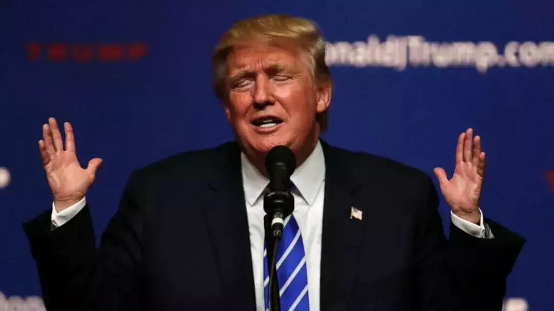 特朗普是作家吗,总统特朗普的名著