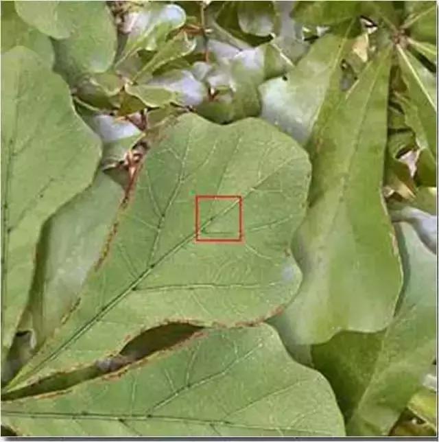 色即是空：这些图片看完后你还有什么想不通？