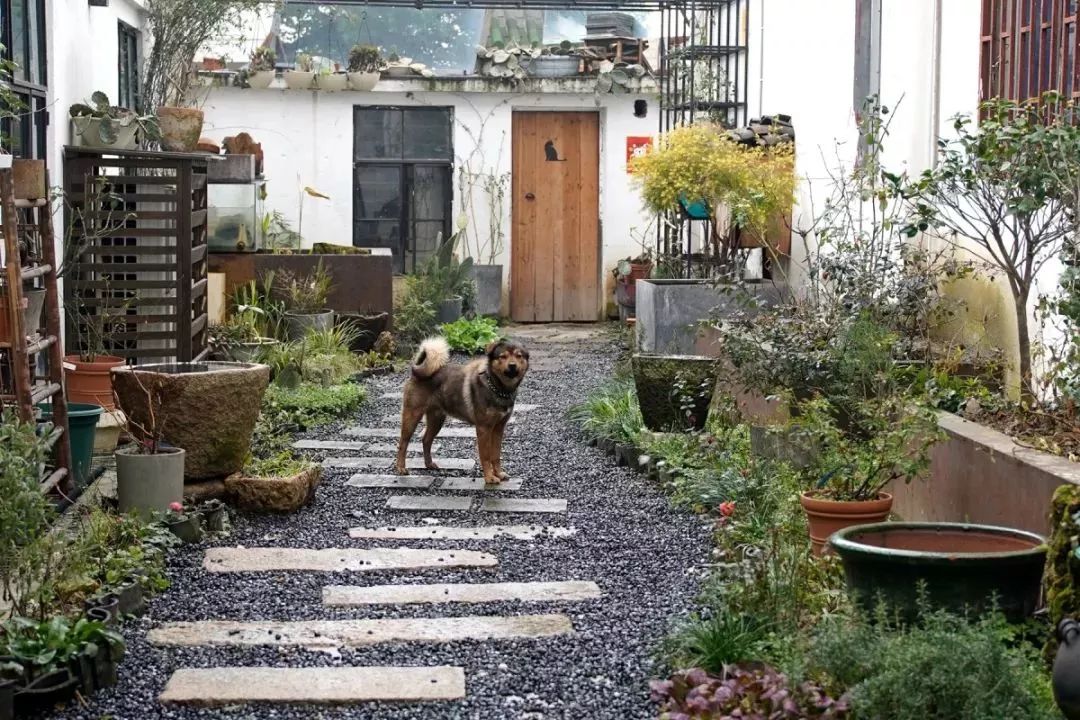 无锡十大精品店,无锡一家有逼格的店
