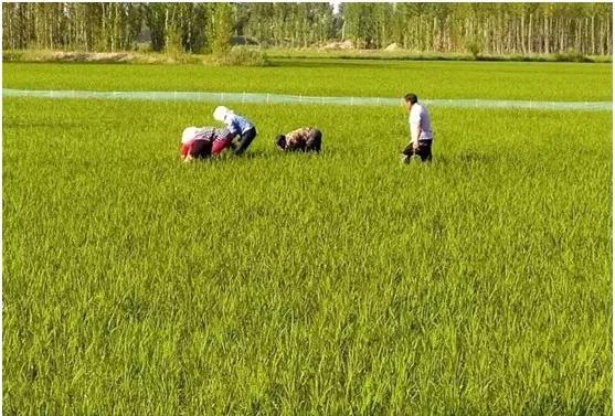 【头条】“抱歉啊，我驻村了，刚忙完。”